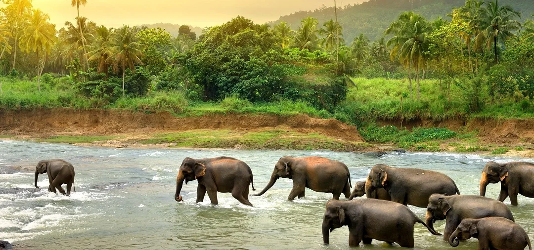 Marvels of Sri Lanka (Kandy)